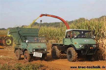 Feldtag 2016 09