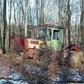 Holz 05
