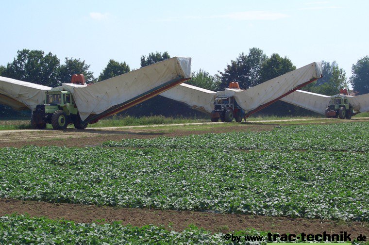 Gurkenflieger_2.jpg