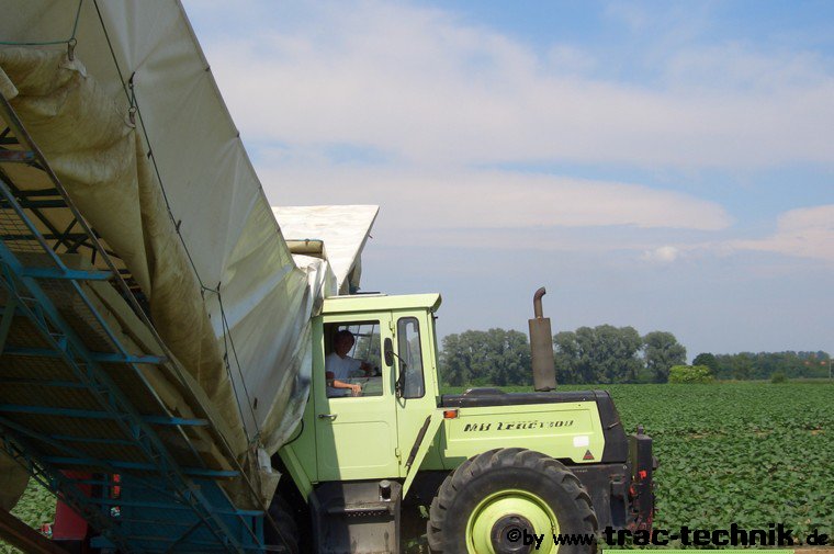 Gurkenflieger_5.jpg